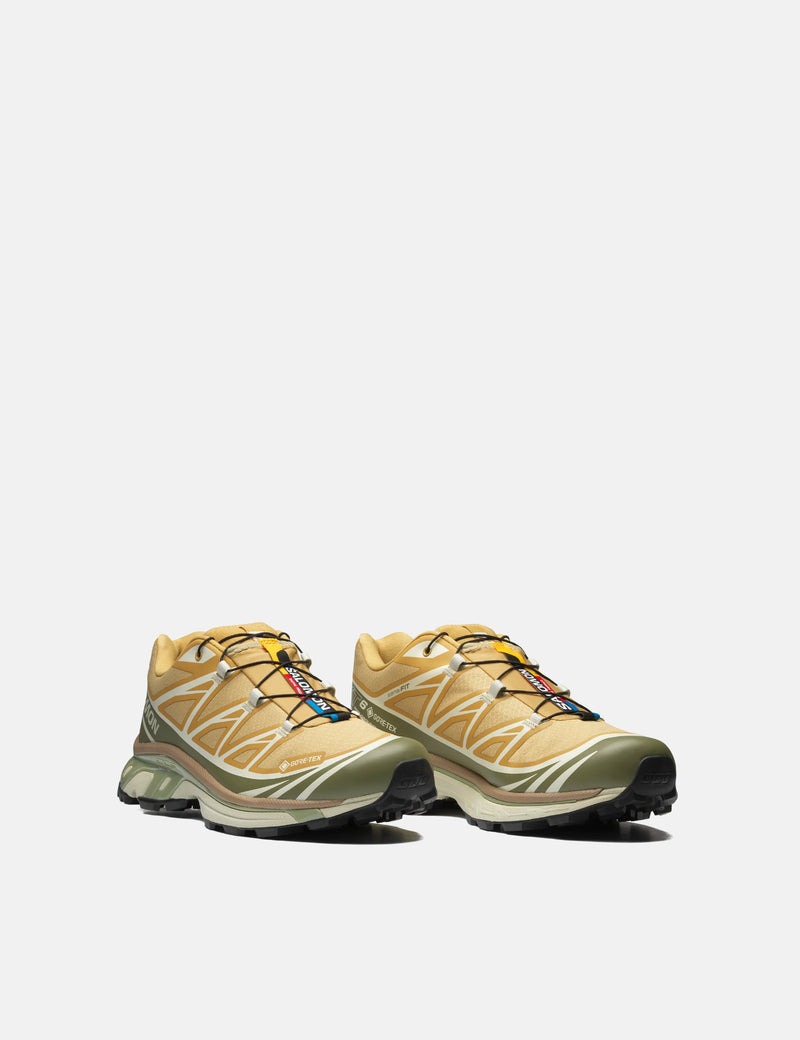 Salomon XT-6 Gore-Tex GTX Trainers - Antelope/Icicle/Portabella
