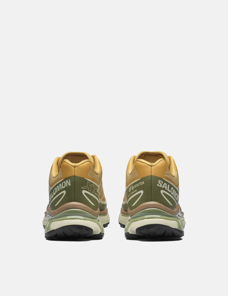 Salomon XT-6 Gore-Tex GTX Trainers - Antelope/Icicle/Portabella