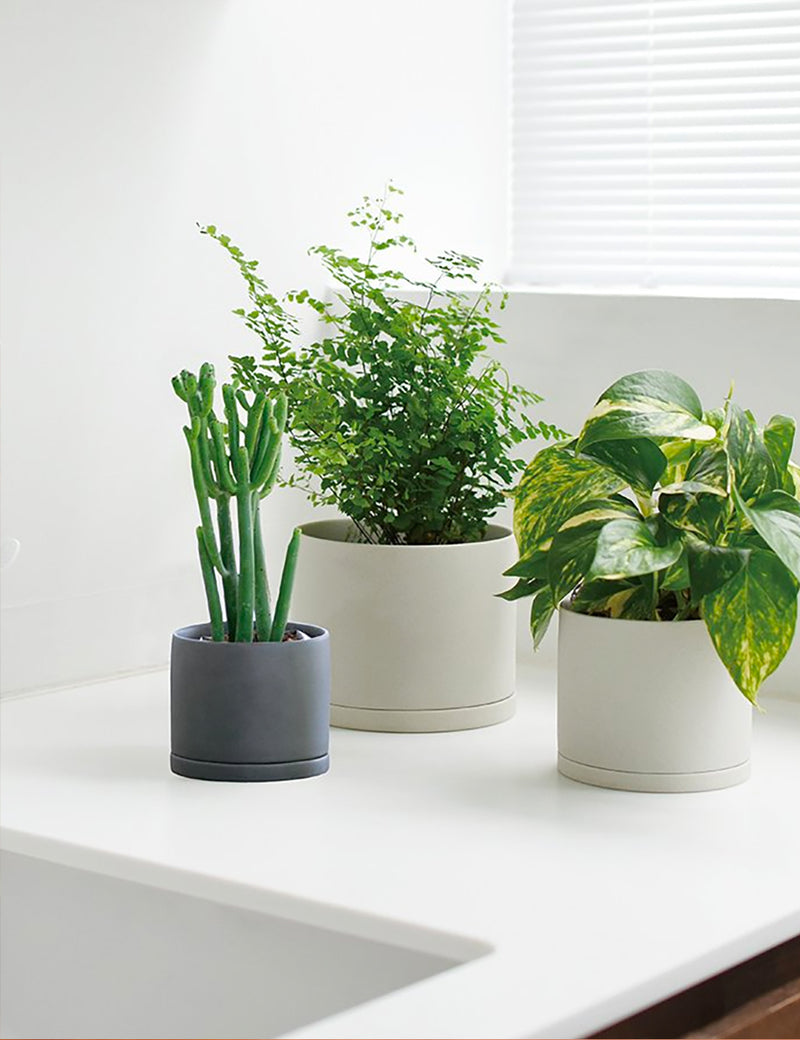 Kinto Plant Pot 191 (85 mm) - Dunkelgrau