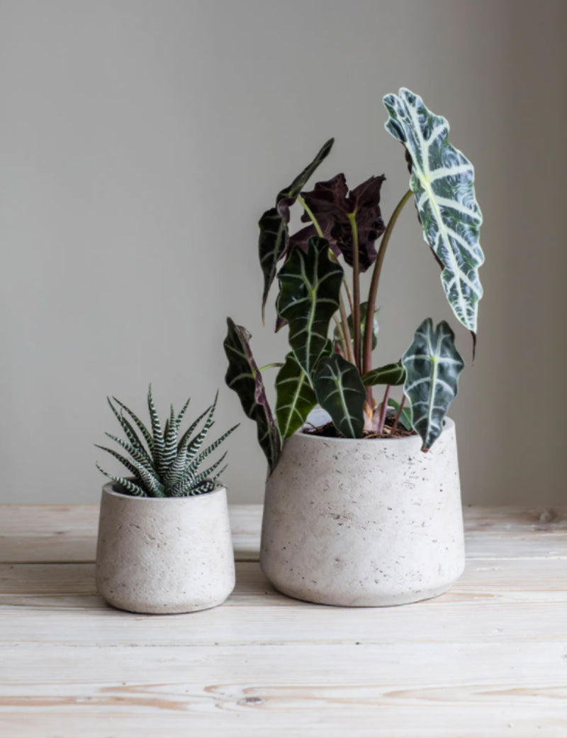Garden Trading Pots de plantes coniques Stratton (lot de 2) - Pierre