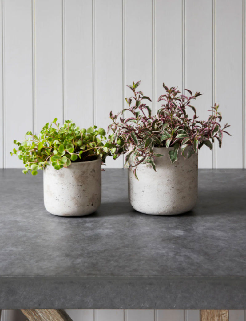 Garden Trading Stratton Straight Plant Pots (Set of 2) - Stone