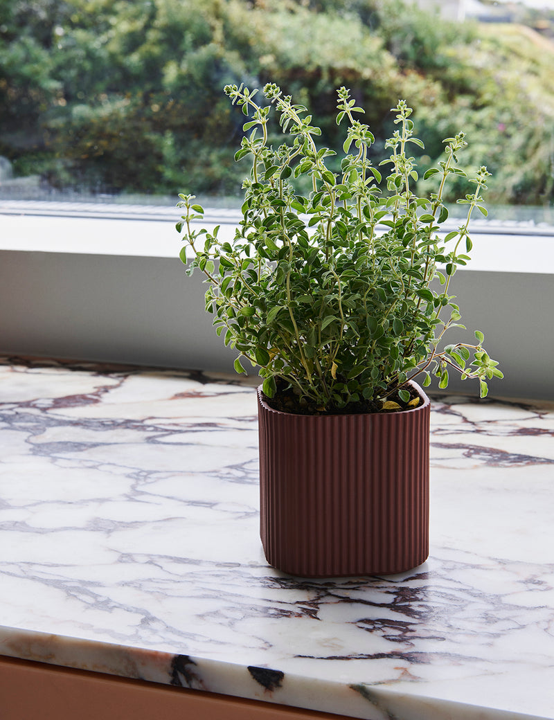Hay Facade Herb Pot (Smalll) - Dark Terracota