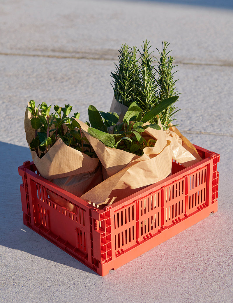HAY Hay Colour Crate (Medium) - Red