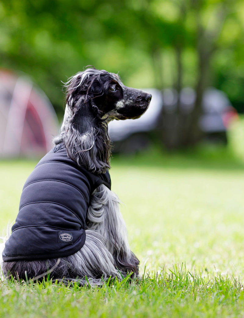 Veste isolante flexible pour chien Snow Peak - Noir