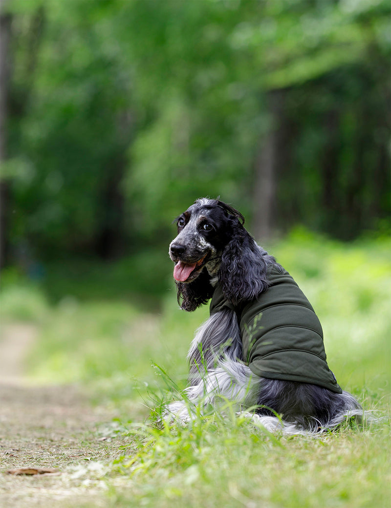 Veste isolante flexible pour chien Snow Peak - Mossgreen