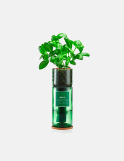Unité simple Hydro Herb Basil