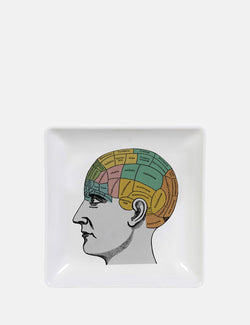 Cubic Phrenology Trinket Tray - White - Article